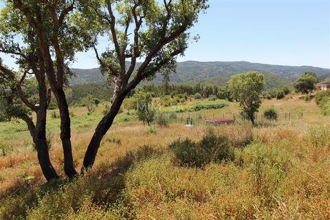 Terreno misto na Serra de Monchique, de meio hectare com uma ruína de 121m2 que está registada e pode ser reconstruída. Está rodeado de terrenos agrícolas e de terrenos com exploração de medronho, tendo bastante exposição solar. O terreno tem eletric...