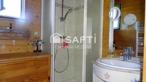 photo no. 12