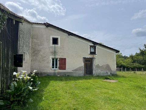 photo no. 13