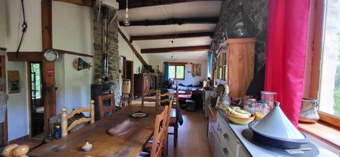 photo no. 16