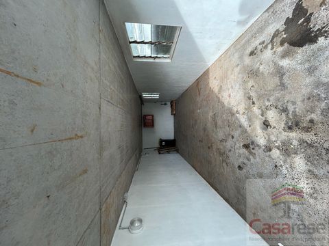 photo no. 15