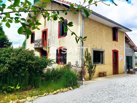 photo no. 17