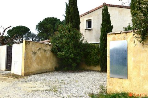 photo no. 12