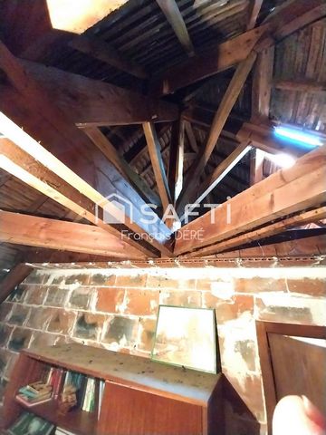 photo no. 19
