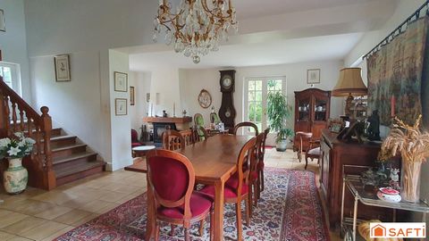 photo no. 6