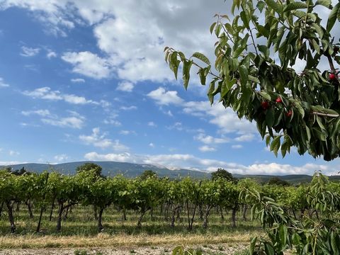 Eingebettet zwischen den Weinbergen, den Kirschbäumen und dem Mont-Ventoux lade ich Sie ein, dieses Haus auf einem riesigen Grundstück von mehr als 6.000 m2 zu entdecken. Mit einem Gesamtpotenzial von über 260 m2 in einer landwirtschaftlichen Fläche ...