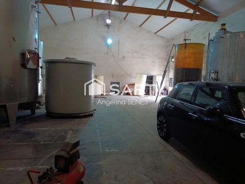 Entrepôt de 250m² avec hauteur sous charpente de 6m