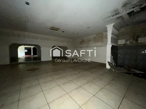 photo no. 6