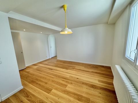 photo no. 16