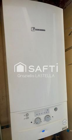 photo no. 13