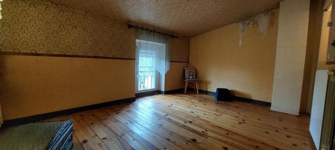photo no. 12