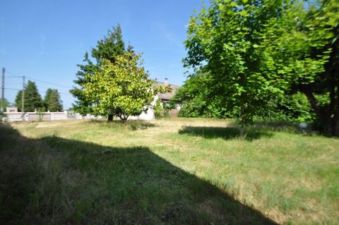 photo no. 1