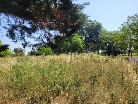 photo no. 1