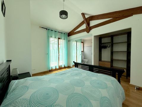 photo no. 13