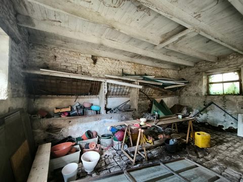 photo no. 16