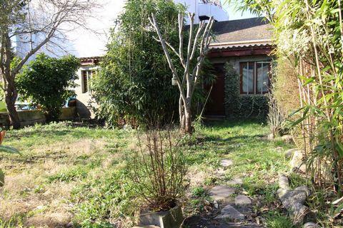 photo no. 8