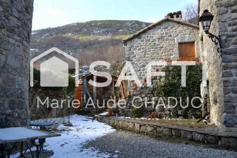 photo no. 14