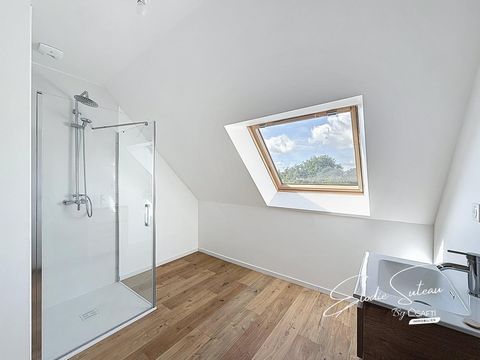 photo no. 6
