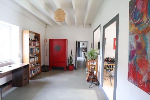 photo no. 7