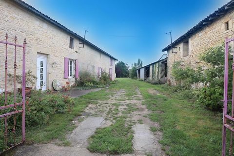 photo no. 19