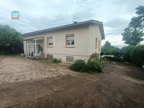 photo no. 8