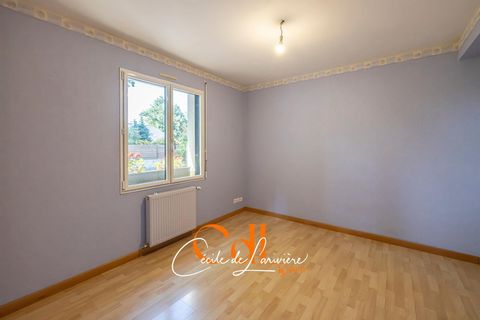 photo no. 19