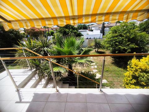 photo no. 2