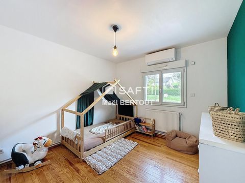 photo no. 11