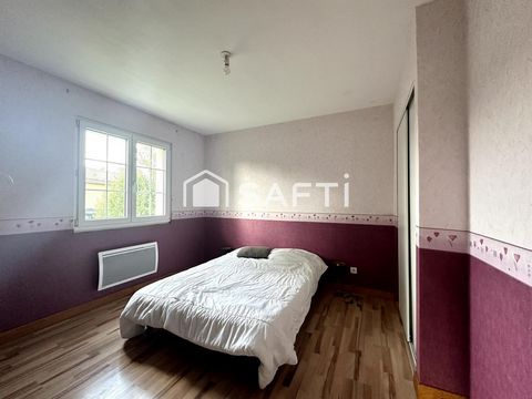 photo no. 7