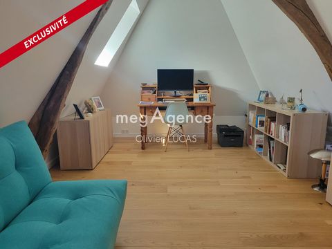 photo no. 12
