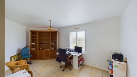 photo no. 8