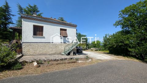 photo no. 13