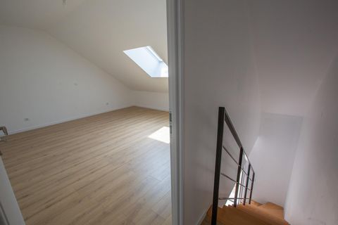 photo no. 11