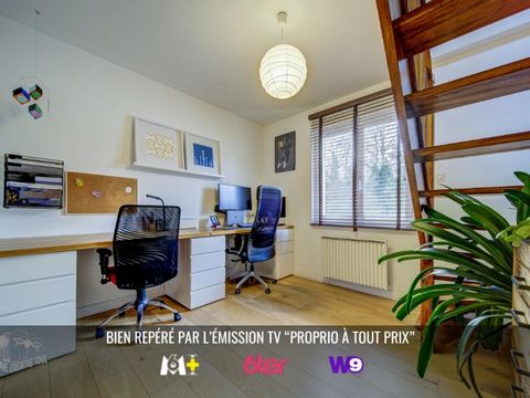 photo no. 6