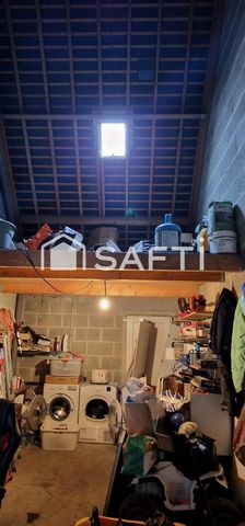 photo no. 12