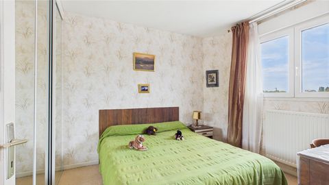 photo no. 16