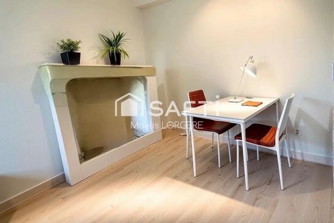 photo no. 11