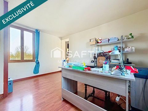 photo no. 13