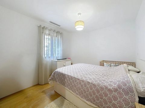 photo no. 7