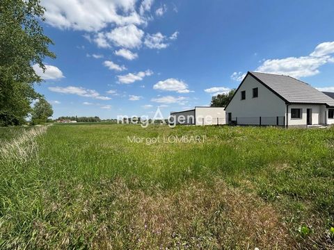 Terrain de 1717 m² à Calonne sur la lys - exposition idéale et beau potentiel !