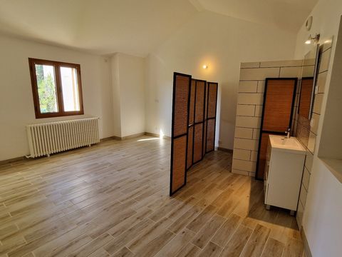 photo no. 12