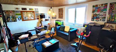 photo no. 11