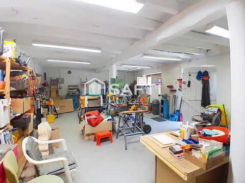 photo no. 13