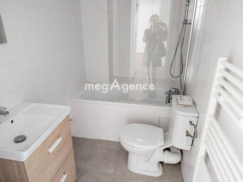 photo no. 12