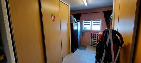 photo no. 11