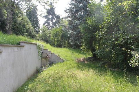photo no. 6
