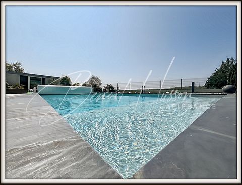 photo no. 1