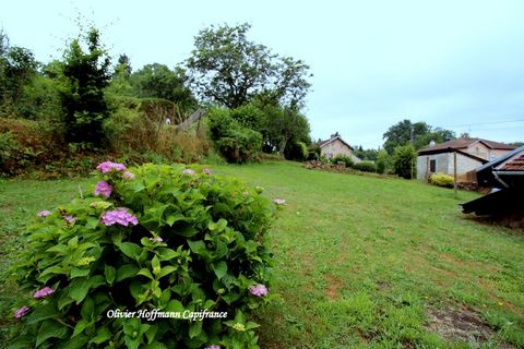 photo no. 2