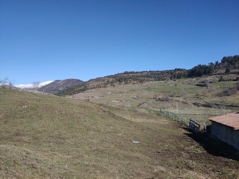 photo no. 13