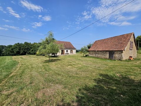 photo no. 15